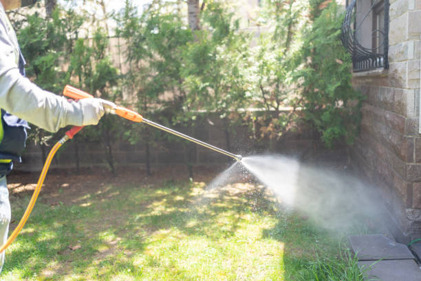 Best Seasonal Pest Control (e.g., summer mosquitoes, winter rodents)  in Frisco, TX